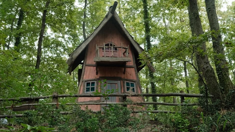 Žaismingas medinis namelis medyje, apsuptas žalumos – puiki vasaros erdvė vaikams